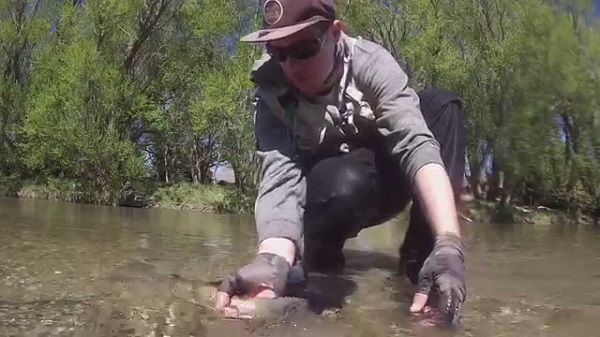 The 411 on Fly Fishing in New Zealand