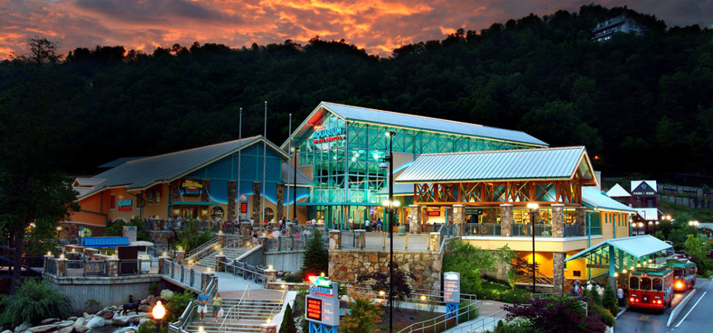 glenstone-lodge-gatlinburg-tn-hotel1 - Daisy Vegabond